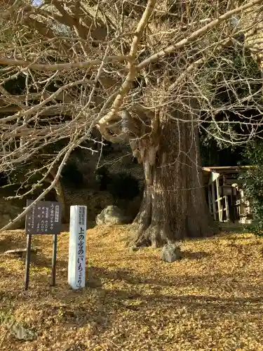 鏡山湯泉神社(栃木県)