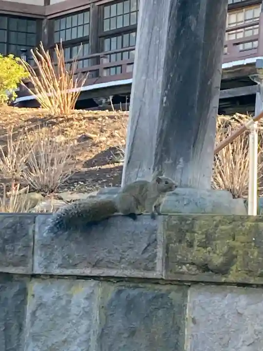 時宗総本山 遊行寺(正式:清浄光寺)(神奈川県)