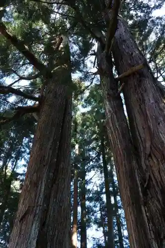 丹生都比売神社の自然