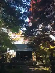 菜洗神社(北海道)