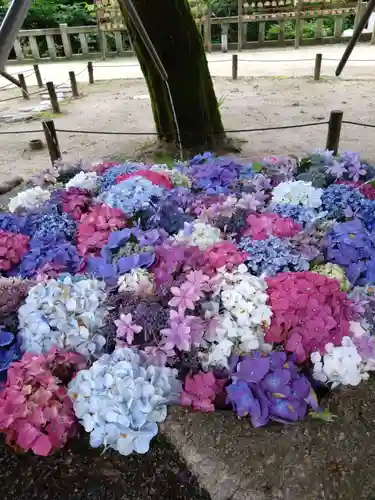 宝満宮竈門神社(福岡県)