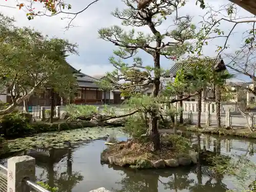 圓照寺の庭園