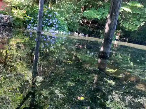 富士山本宮浅間大社の庭園