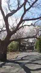 相馬神社の自然