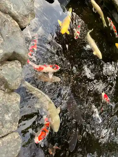 伊勢神宮内宮（皇大神宮）(三重県)