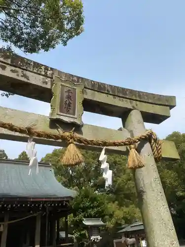 千栗八幡宮の鳥居