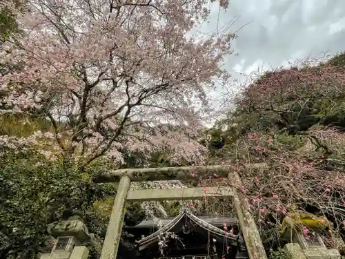 大豊神社の鳥居