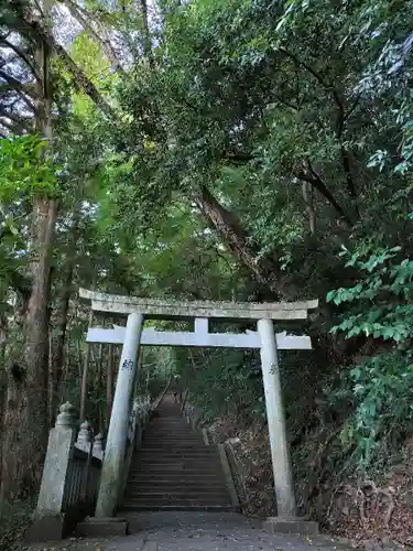 金刀比羅宮(香川県)