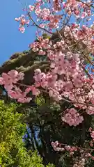 熊野若王子神社の自然