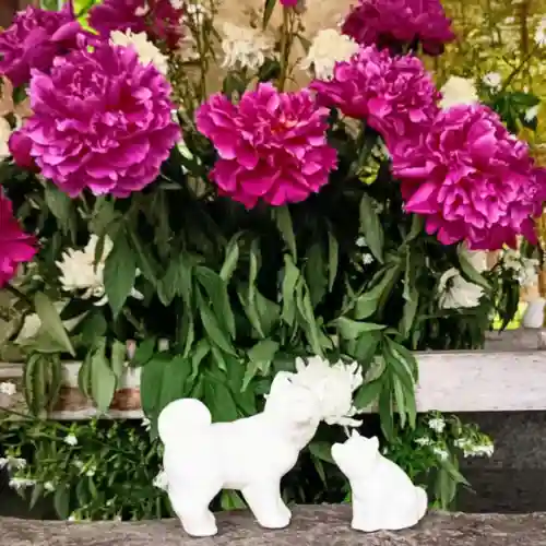 彌彦神社　(伊夜日子神社)(北海道)