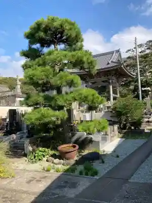 蓮乗院(神奈川県)