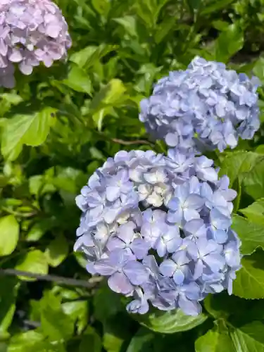 三室戸寺の{uncategorized: "未分類", other: "その他", undefined: "問題あり", building: "その他建物", grave: "お墓", sacred_gate: "鳥居", guardian: "狛犬", statue: "像", buddha: "仏像", history: "歴史", nature: "自然", garden: "庭園", animal: "動物", pagoda: "塔", temizu: "手水舎", mountain_gate: "山門・神門", sanctuary: "本殿・本堂", subordinate: "末社・摂社", art: "芸術", scenery: "景色", jizo: "地蔵", ema: "絵馬", goshuin: "御朱印", omikuji: "おみくじ", items: "授与品その他", amulet: "お守り", goshuincho: "御朱印帳", eats: "食事", festival: "お祭り", votive_dance: "神楽", shichigosan: "七五三参", wedding: "結婚式", experience: "体験その他", initially: "初詣", around: "周辺", anti_infection: "感染症対策"}