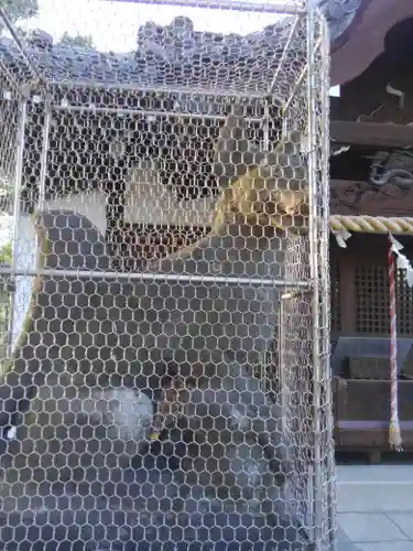 細田神社の狛犬