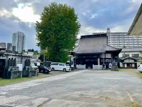 法禅寺(東京都)