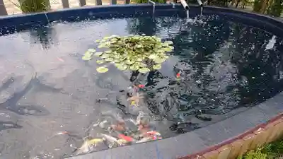 栗橋八坂神社(埼玉県)