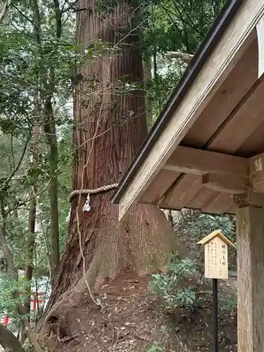 丹生川上神社（中社）(奈良県)