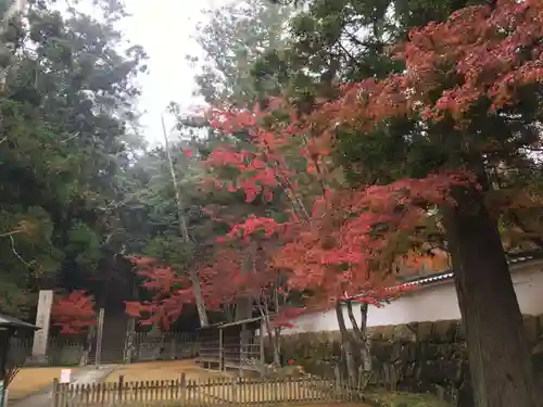 一乗寺のその他建物