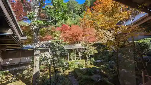 圓光寺(京都府)