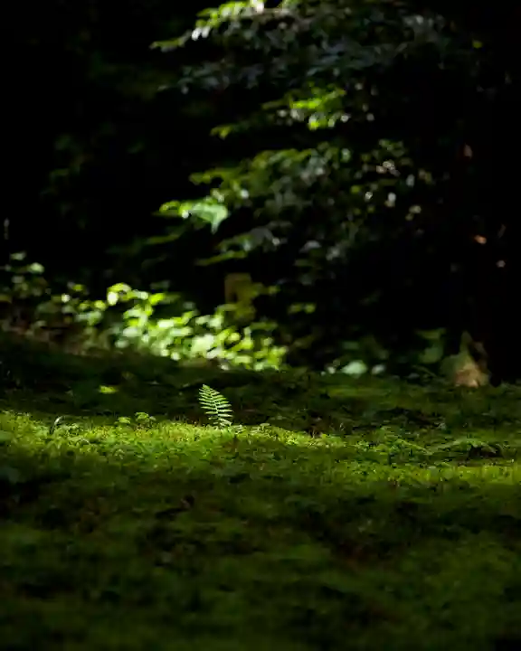 御岩神社(茨城県)