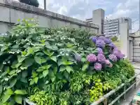 世尊寺(東京都)