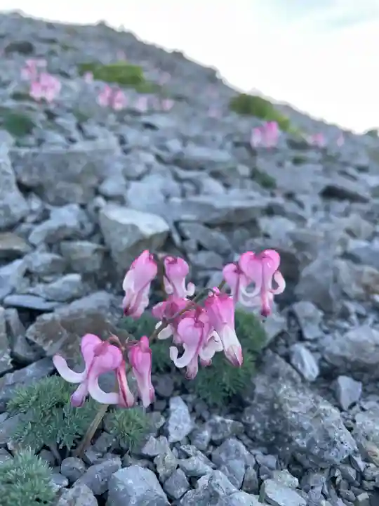 若一王子神社 奥宮(長野県)