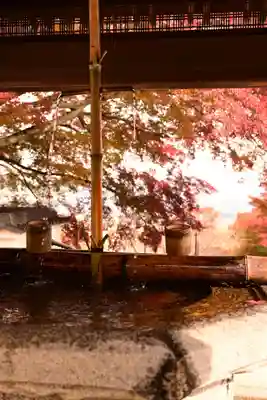 善峯寺(京都府)