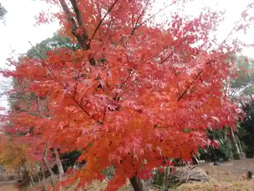 醍醐寺（上醍醐）(京都府)