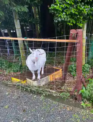 出雲大社相模分祠(神奈川県)