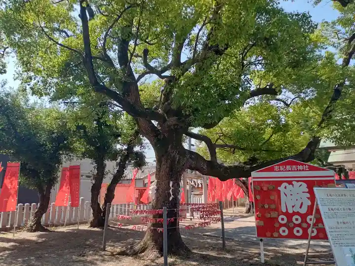 志紀長吉神社(大阪府)