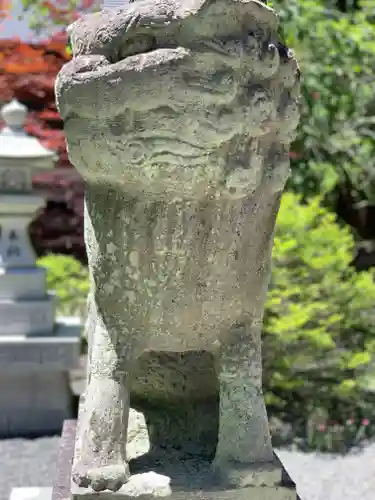 山中浅間神社の狛犬