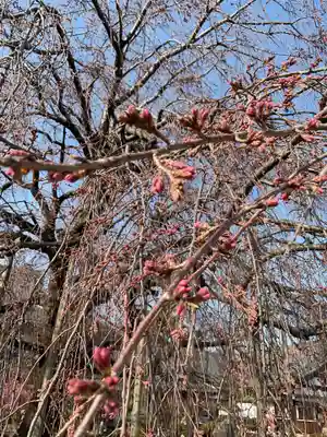 正眼寺(愛知県)