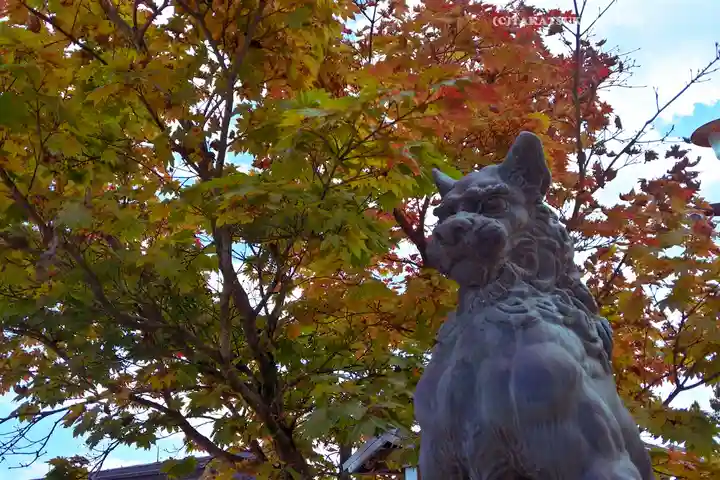 武蔵御嶽神社(東京都)