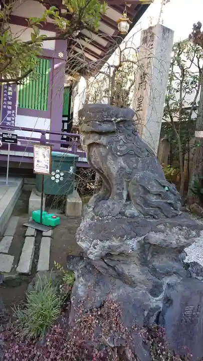 高木神社の狛犬