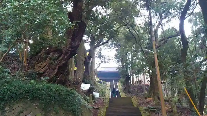 西明寺のその他建物