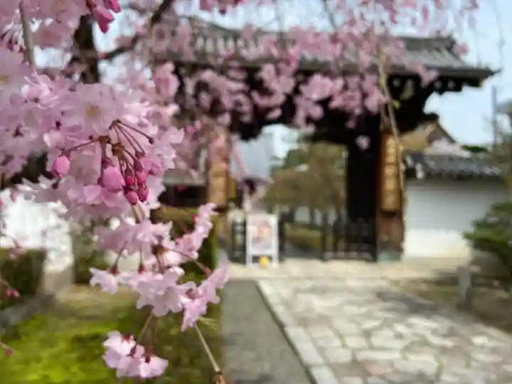 妙顯寺(妙顕寺)(京都府)