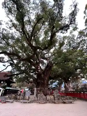 宇美八幡宮(福岡県)