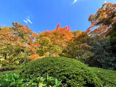 詩仙堂(丈山寺)(京都府)