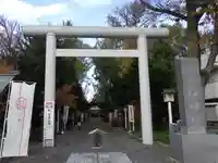 新琴似神社の鳥居