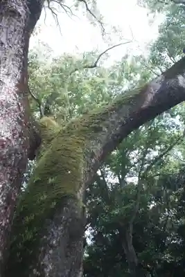 伊弉諾神宮(兵庫県)