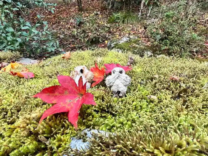 神藏寺(京都府)
