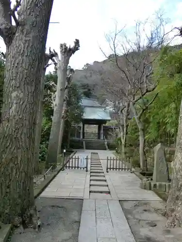 続灯庵の山門