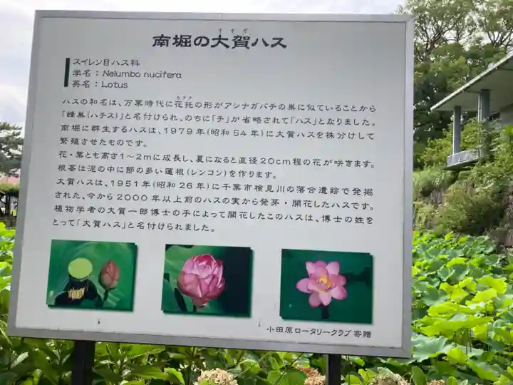 報徳二宮神社の歴史