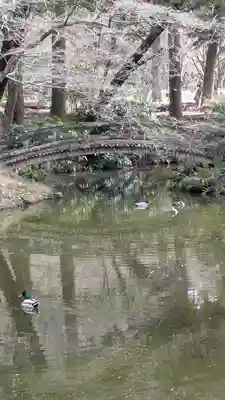 半木神社（賀茂別雷神社境外末社）(京都府)