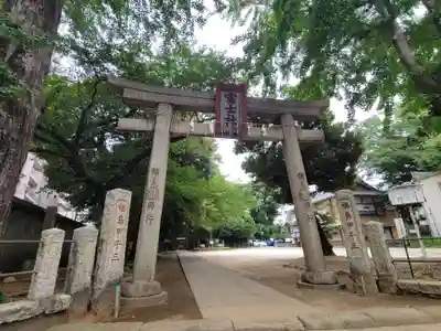 駒込富士神社の鳥居