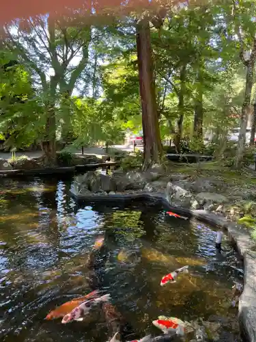 伊豆山神社(静岡県)