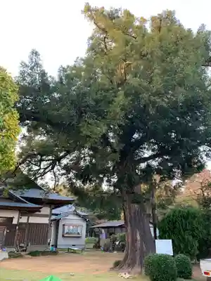 大隆寺(千葉県)