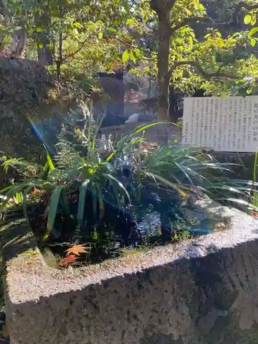 武田神社の庭園