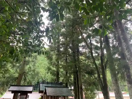 住吉神社の自然