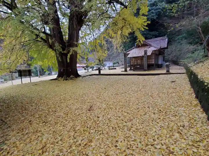 迦具神社の自然