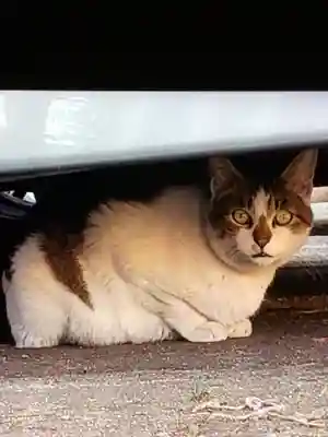 田端神社(東京都)